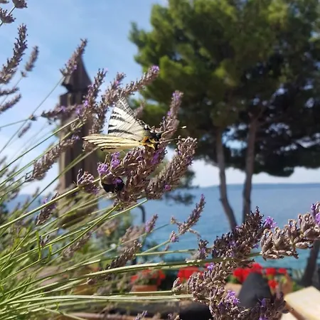 Luxury - By The Sea, Summer Kitchen, Hot Tub, Sup, Boat, 5 Rooms, Wifi, Parking - Trogir Villa